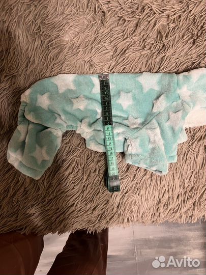 Одежда для животных