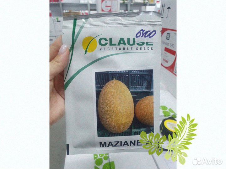Семена дыня Мазиан 1000с Клаус