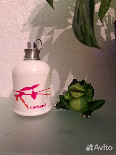 Кашарель парфюм