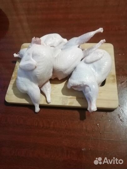 Продам мясо перепелов