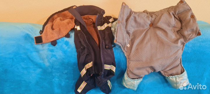 Одежда для собак