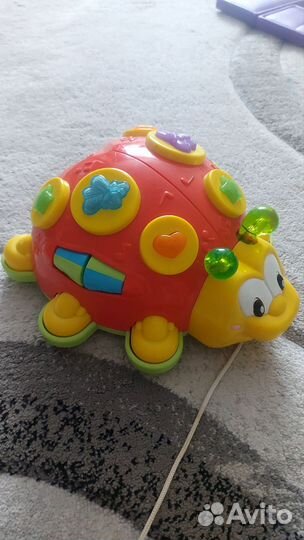 Божья коровка