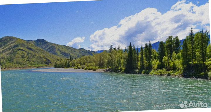 Путевка летом на Алтай экскурсия 4-7 дней