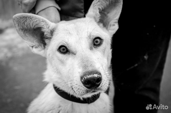 Мальчик Алтай