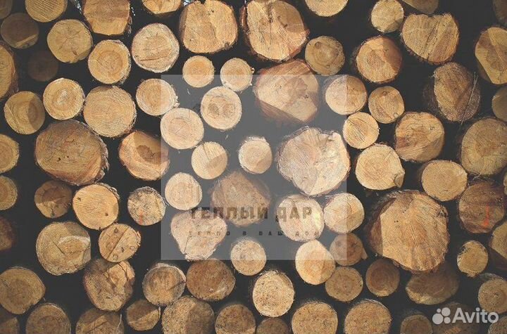 Дрова сухие