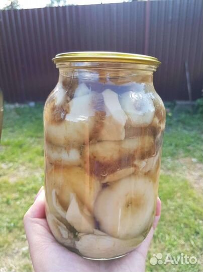 Грузди настоящие солёные