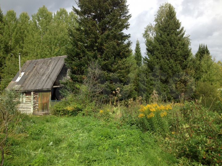 Участок 10 сот. (СНТ, ДНП)