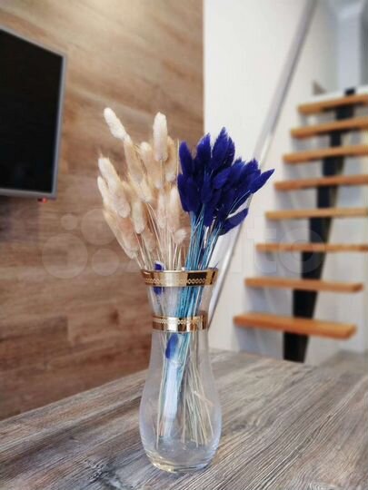 Квартира-студия, 29 м², 1/5 эт.