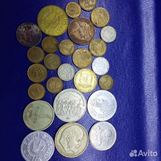 Коллекция