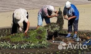 Разнорабочий с ежедневной оплатой несложная работа