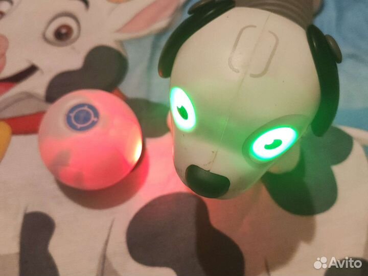 Игрушечная собака