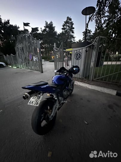 Honda cbr 600rr