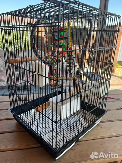 Большая клетка для птиц