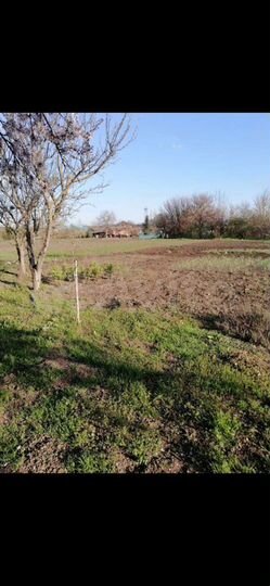 Дом 58,7 м² на участке 14,6 сот.