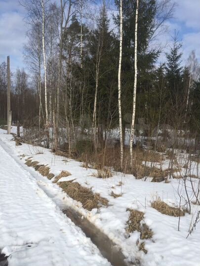 Участок 10 сот. (ИЖС)