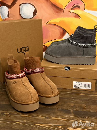 Ugg tazz tasman с носком 2 цвета