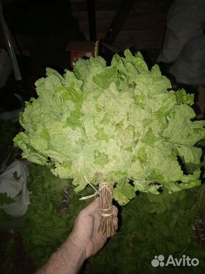 Веники для бани. Эфирные масла, шапки и тд