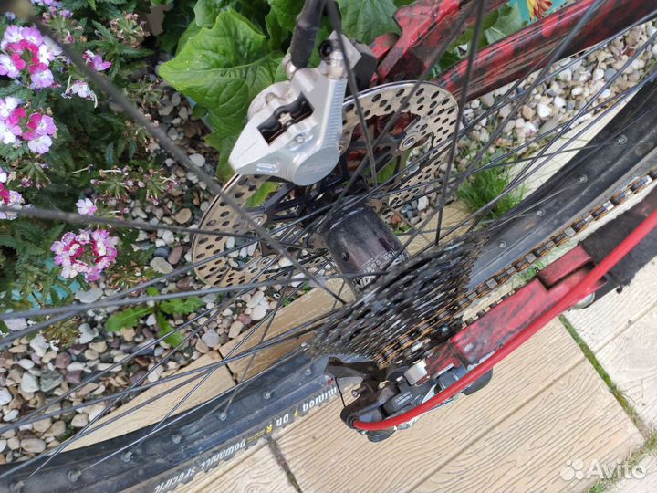 Вел на любителя