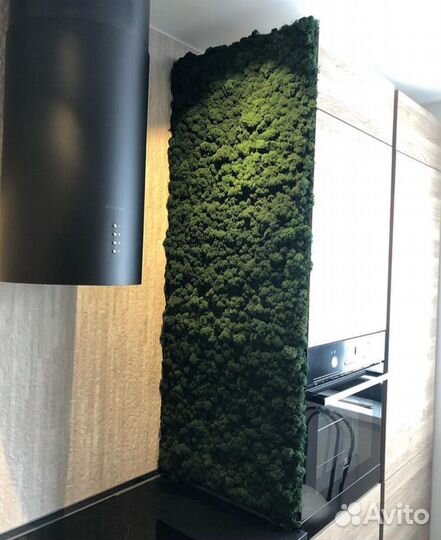 Стабилизированный мох.Фитостена из мха на кухню