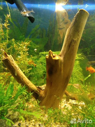 Коряги для аквариума, замок