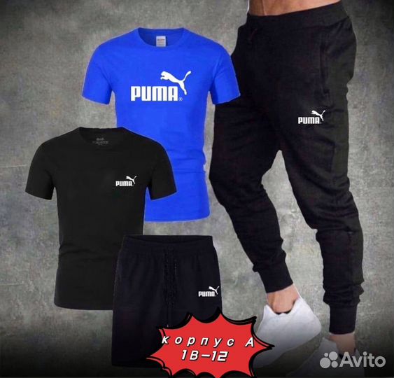 Мужской спортивный костюм puma летний