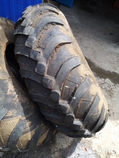 Продам ободрыши шины