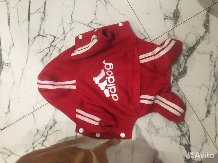 Куртка зимняя на маленькую собачку