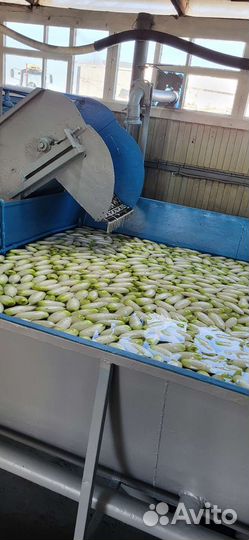 Мойка овощной продукции