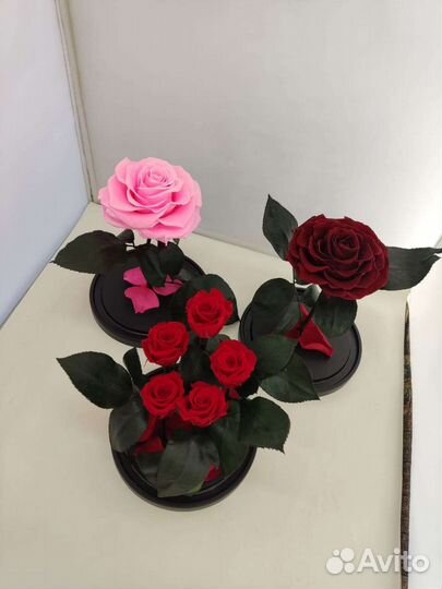 Роза в колбе оптом и в розницу