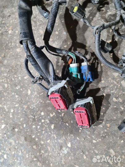 Проводка двс Ford Focus 2 2006