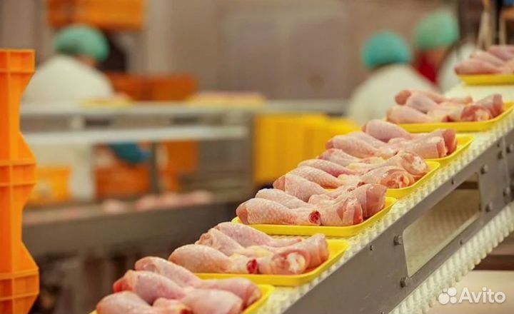 Упаковщик(ца) куриных лап Вахта Проживание