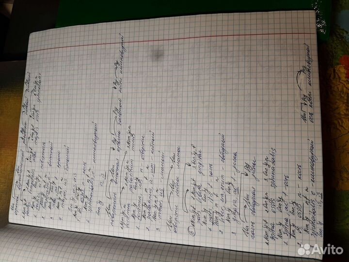 Тетради по латинскому языку 6шт