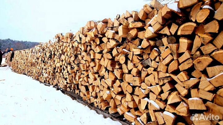 Дрова зимней заготовки