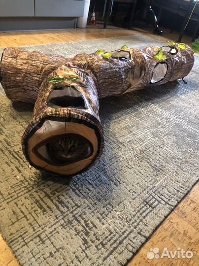 Игрушки для кошек