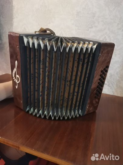 Баян детский Кременное