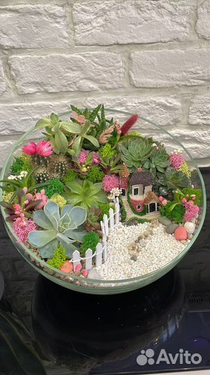 Флорариум на день рождения,День матери, Новый год