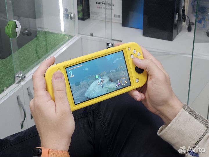 Таблетка от жадности Nintendo switch