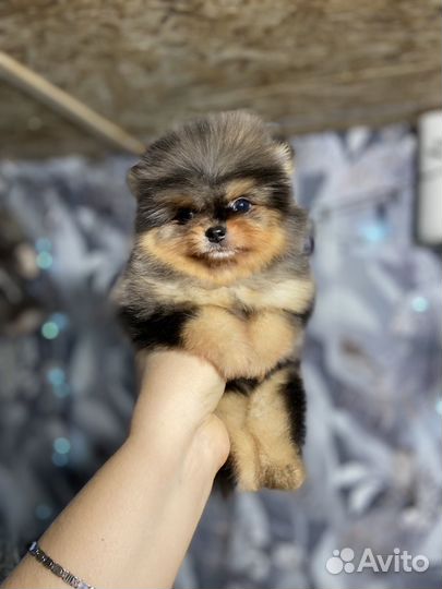 Мальчишечка