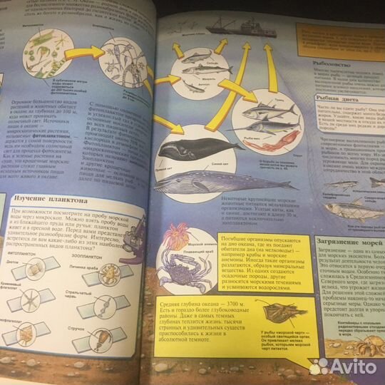 Энциклопедия окружающего мира 1997 год