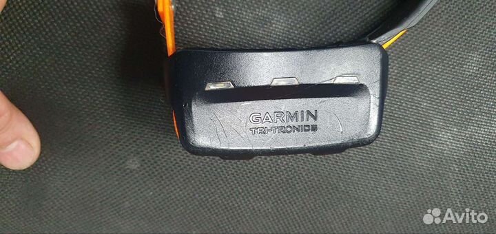 Garmin Astro 320 / ошейник T 5 / Россия