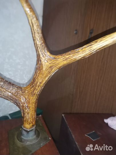 Рога косули