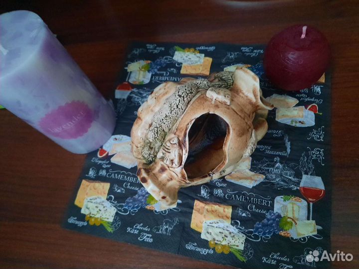 Камень ракушка