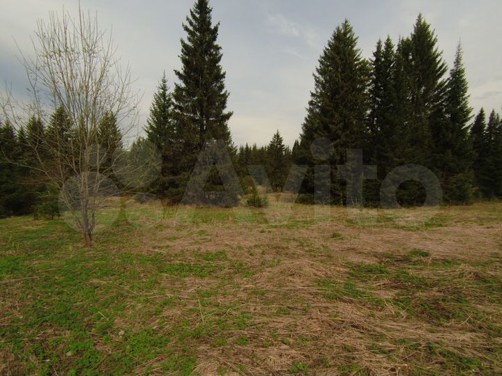 Коттедж 355 м² на участке 90 сот.