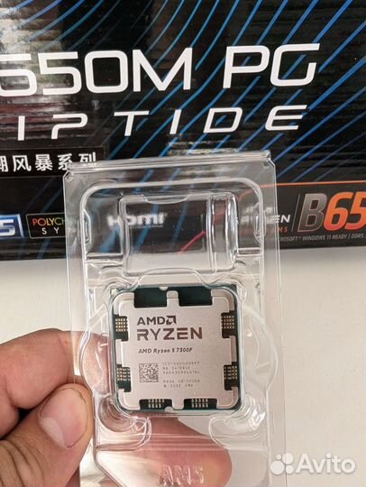 Ryzen 5 7500f + B650m Asrock Riptide