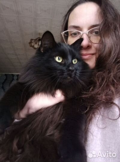 Зоопсихолог