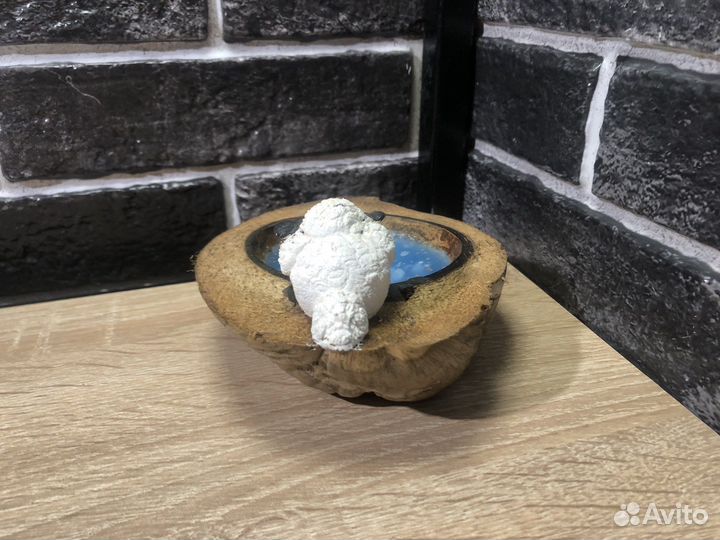 К.2410 Свеча в Кокосе Тайланд