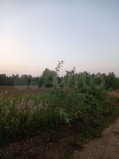 Участок 2 га (СНТ, ДНП)