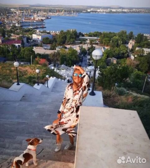 Догситтер передержка собак прогулки с собаками