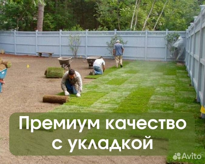 Рулонный газон под ключ