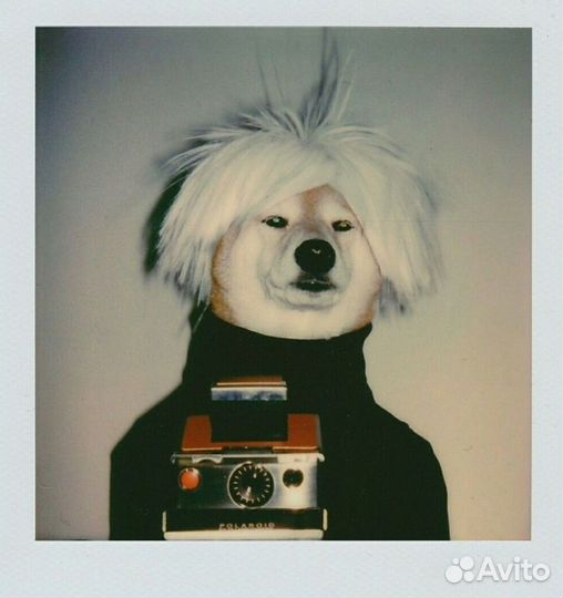 Polaroid 636 Close Up с картриджем (кассета)